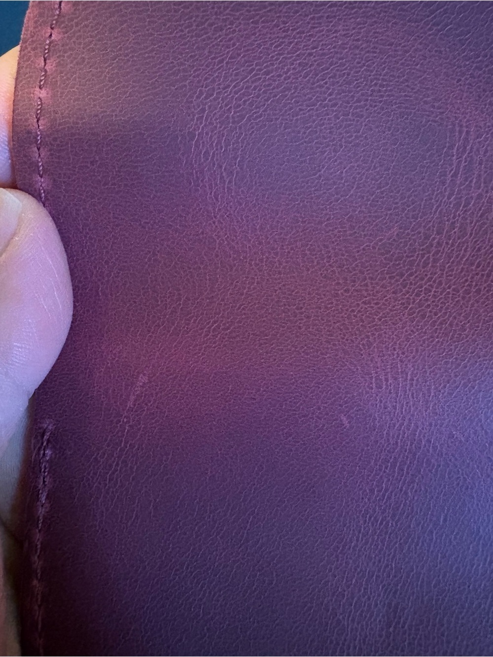 Plg wallets BNNU Anemone - Picture 14 of 14